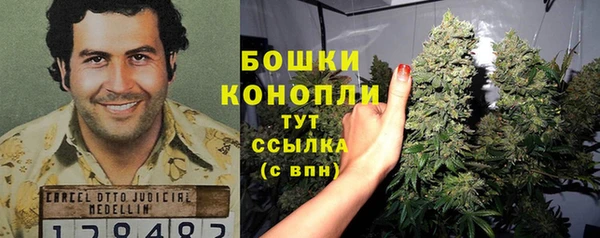mdpv Новозыбков