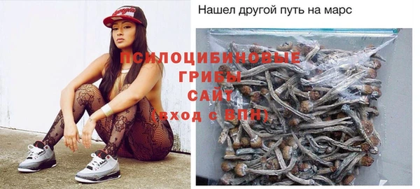прущие крисы Алексеевка