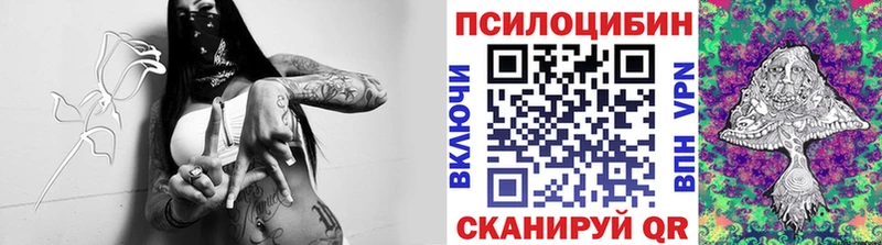где найти   Кяхта  kraken ONION  Галлюциногенные грибы ЛСД 
